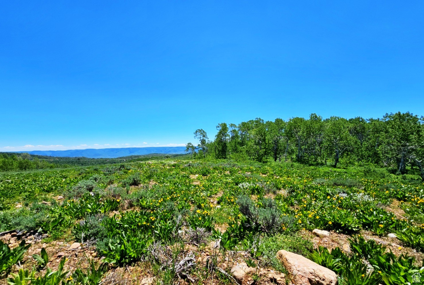 SUNRIDGE RANCHES - Land