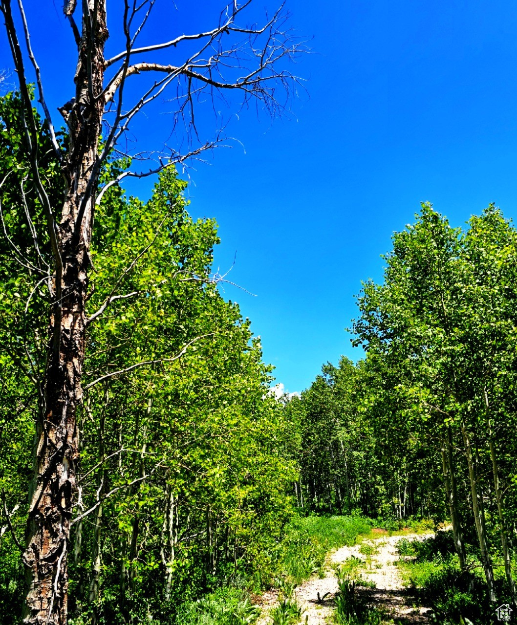 SUNRIDGE RANCHES - Land