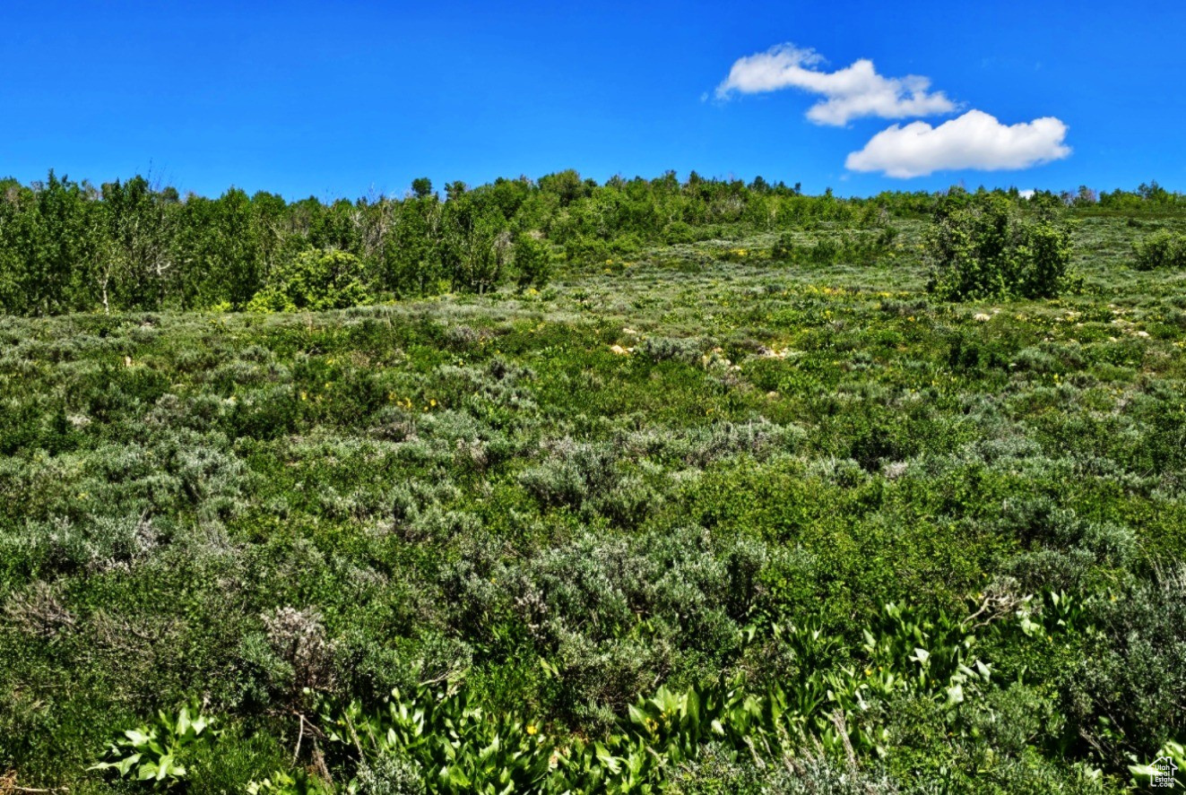 SUNRIDGE RANCHES - Land