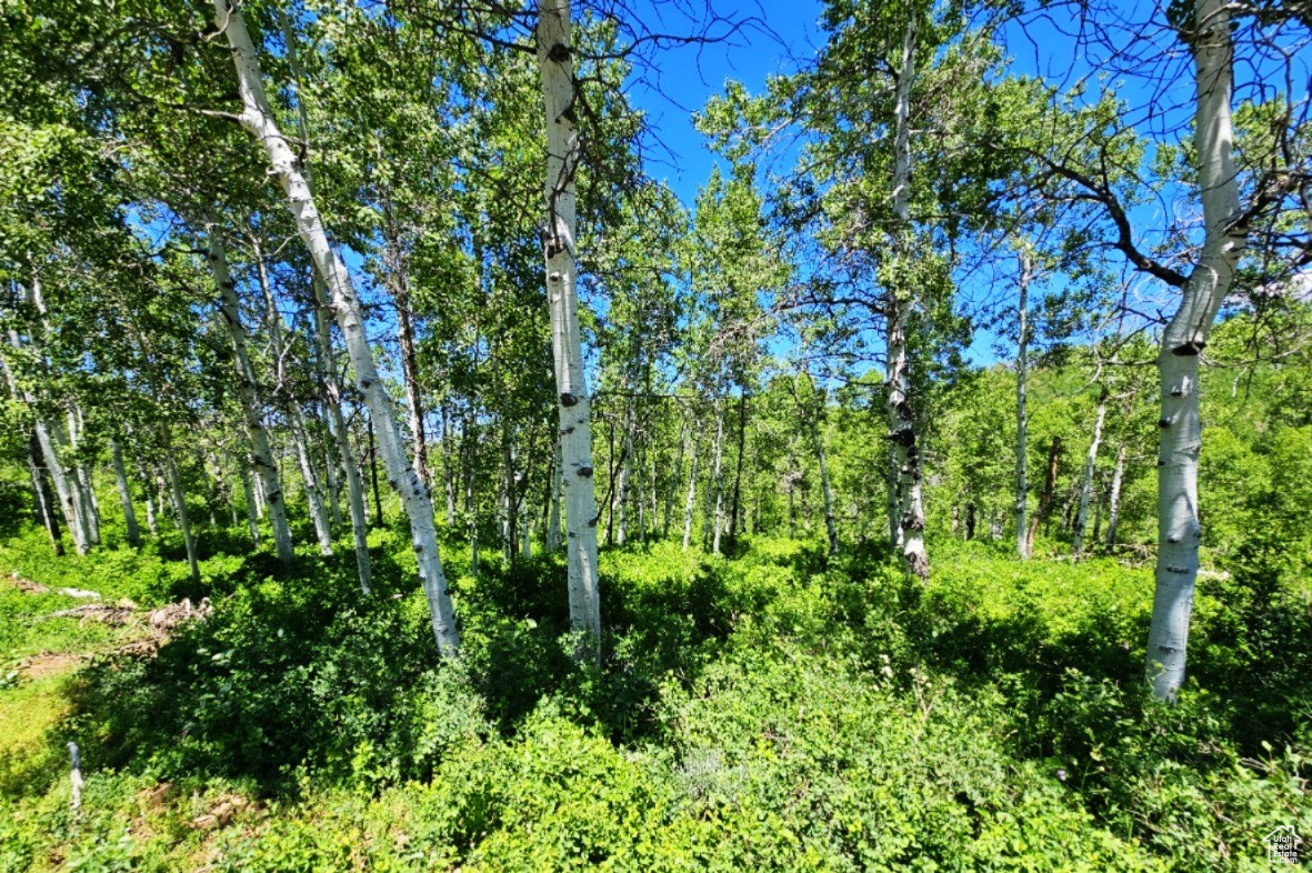 SUNRIDGE RANCHES - Land