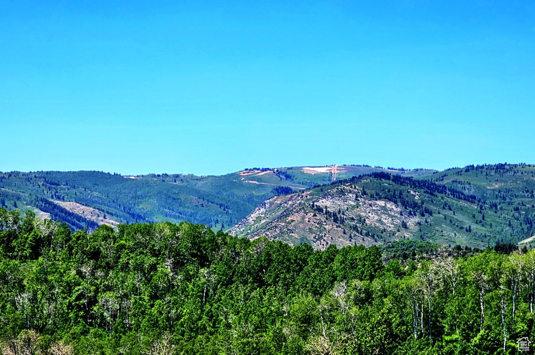SUNRIDGE RANCHES - Land