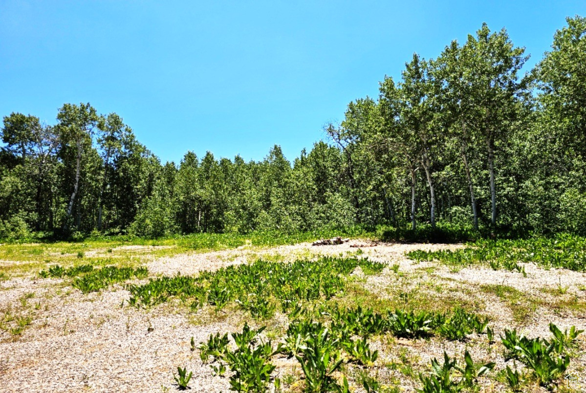 SUNRIDGE RANCHES - Land
