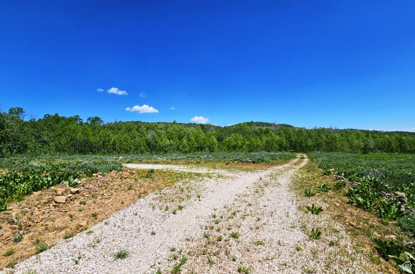 SUNRIDGE RANCHES - Land