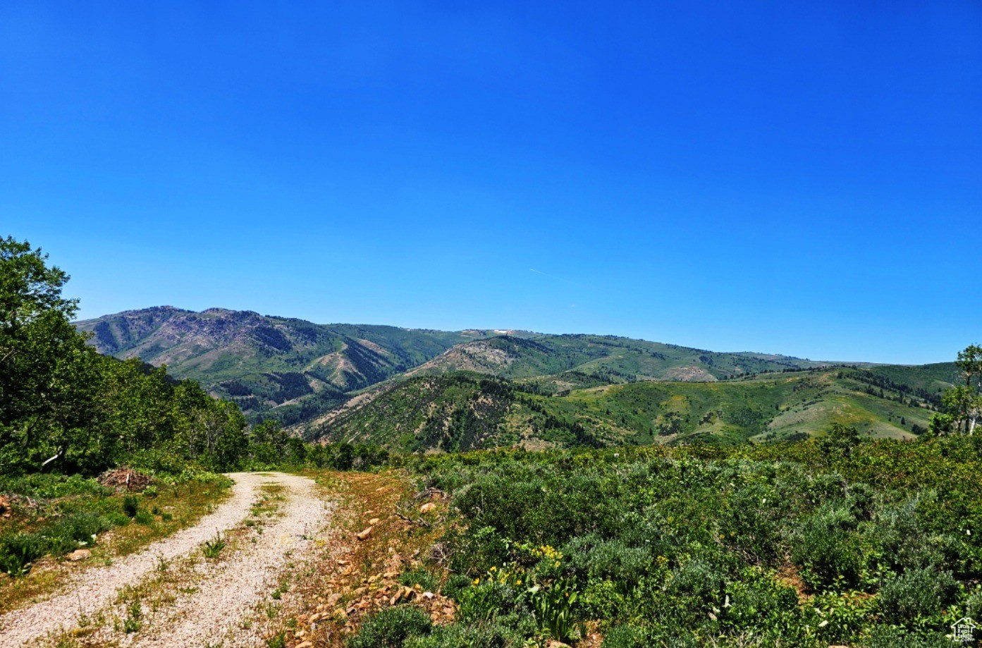 SUNRIDGE RANCHES - Land