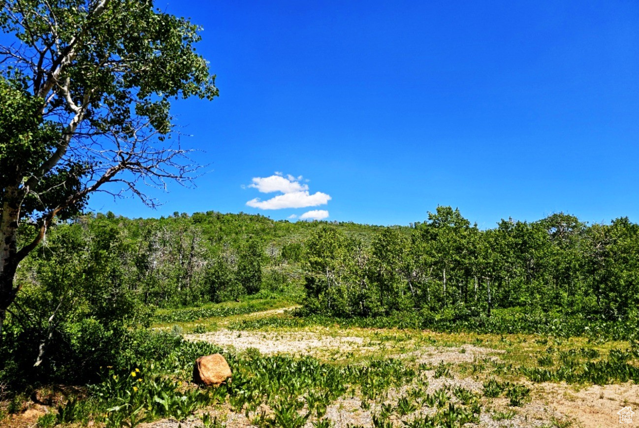 SUNRIDGE RANCHES - Land
