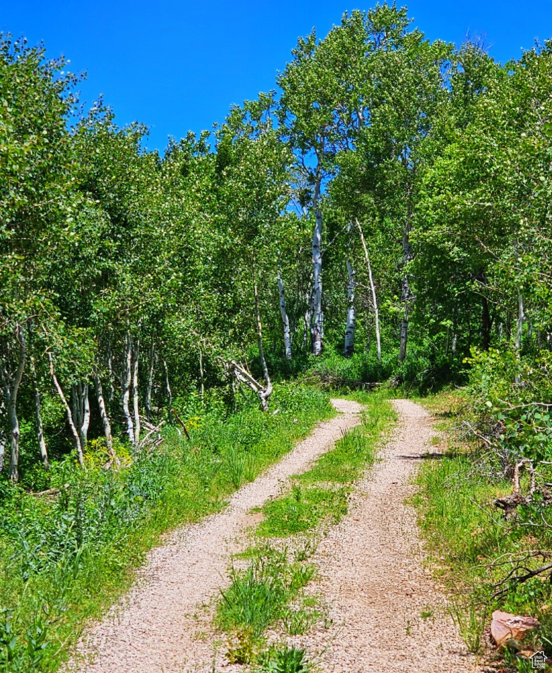 SUNRIDGE RANCHES - Land