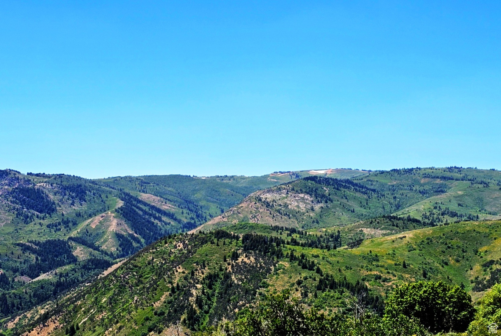 SUNRIDGE RANCHES - Land