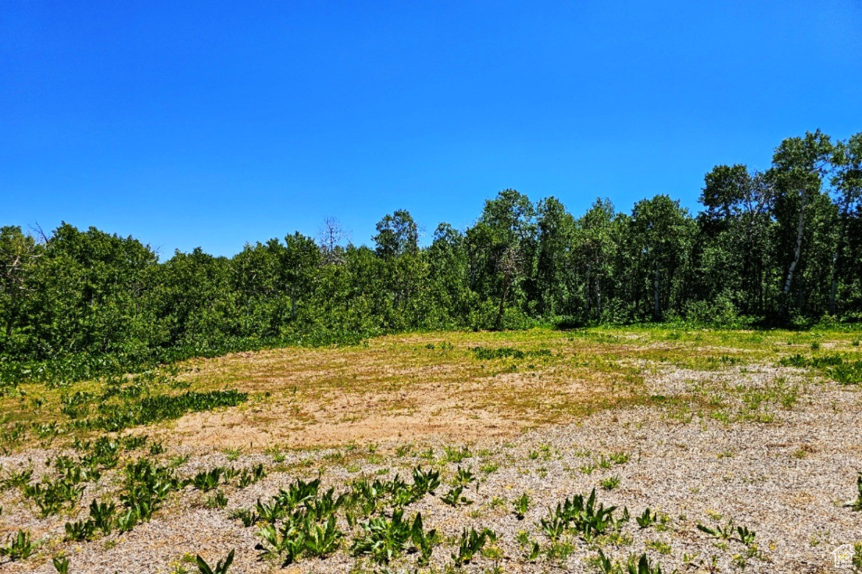 SUNRIDGE RANCHES - Land