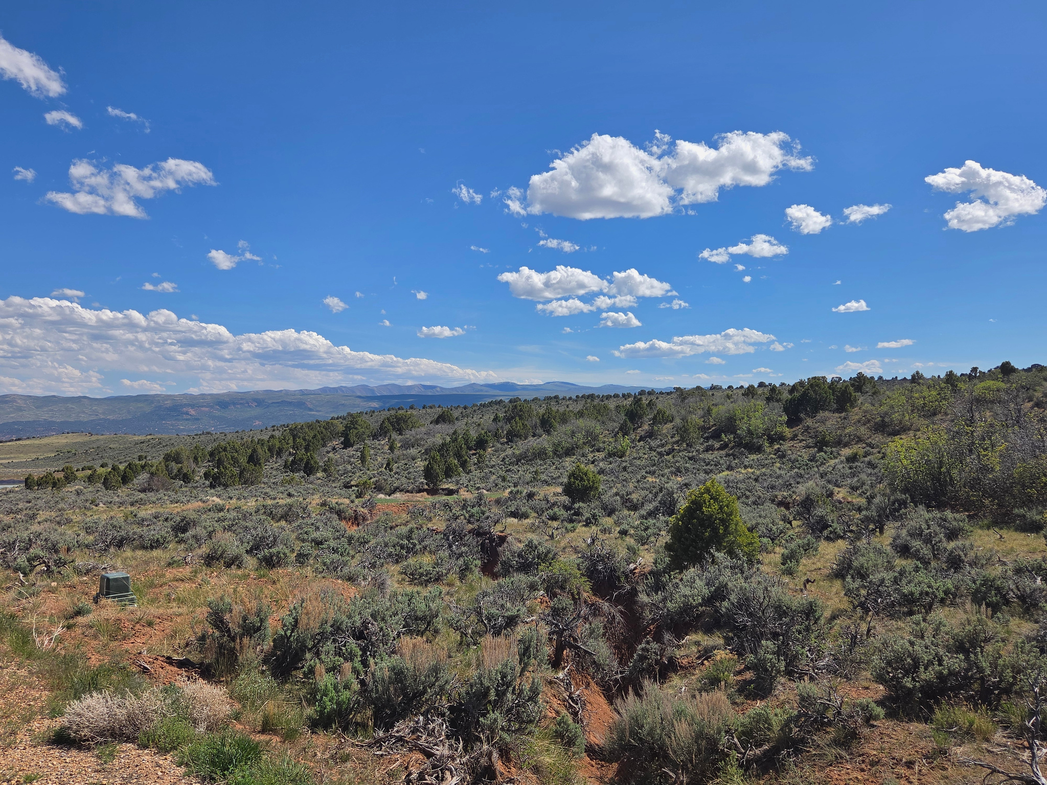 OAK HILLS RANCH - Land
