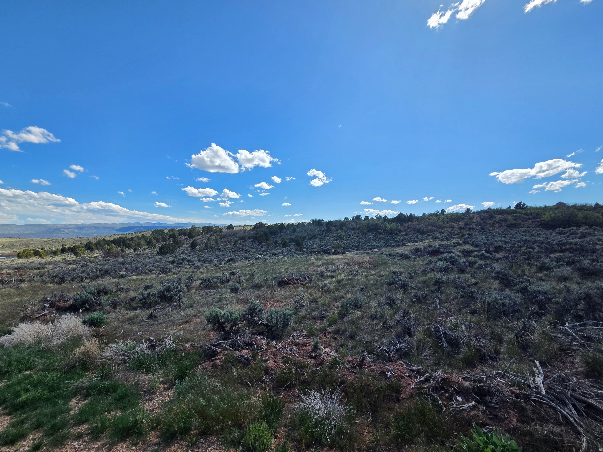 OAK HILLS RANCH - Land
