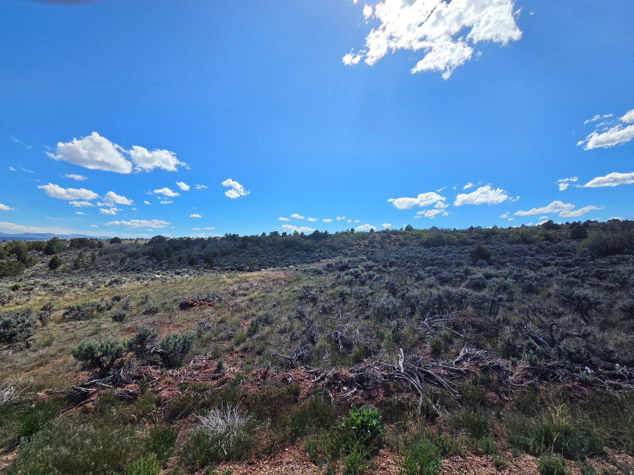 OAK HILLS RANCH - Land