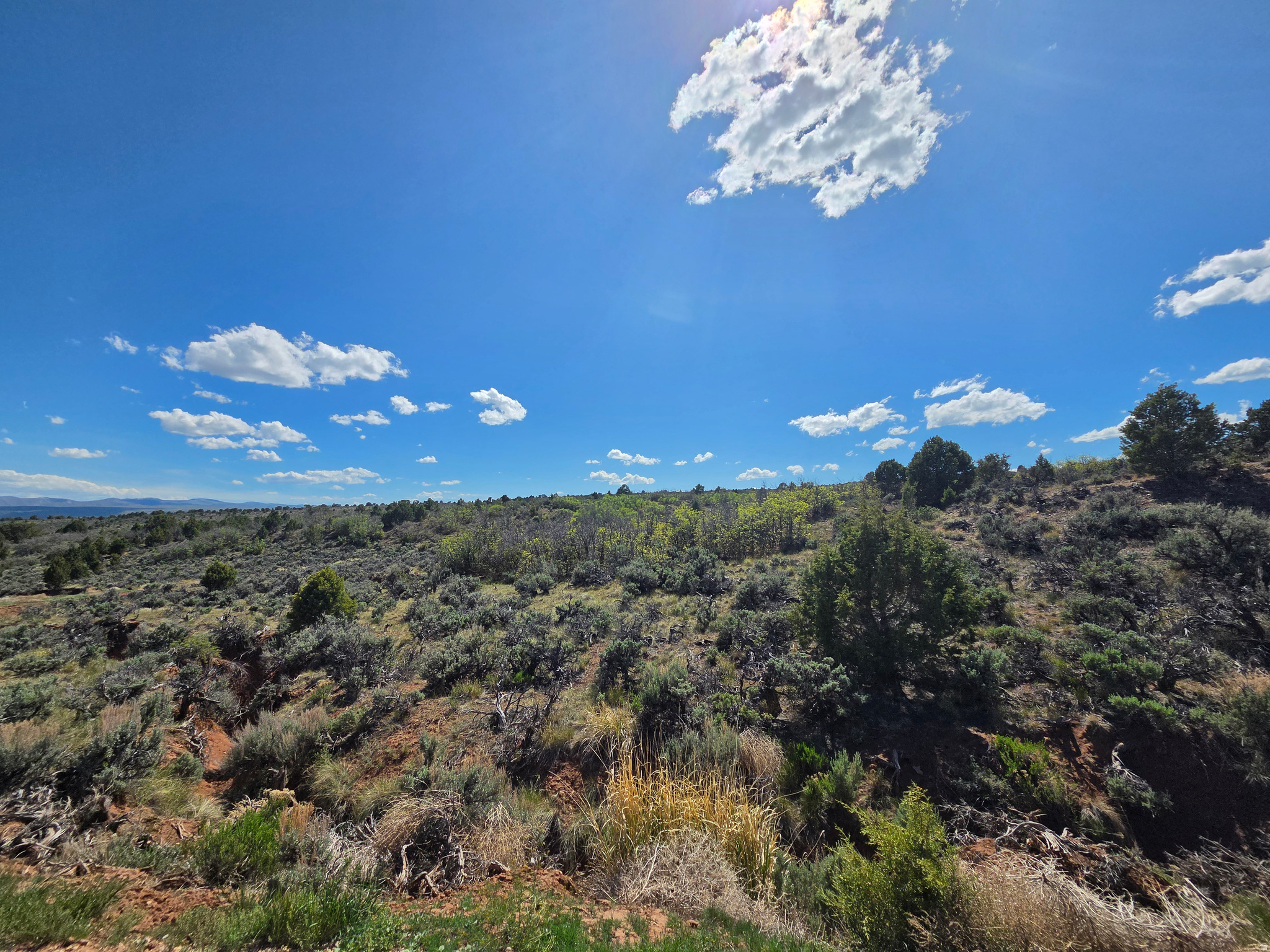 OAK HILLS RANCH - Land