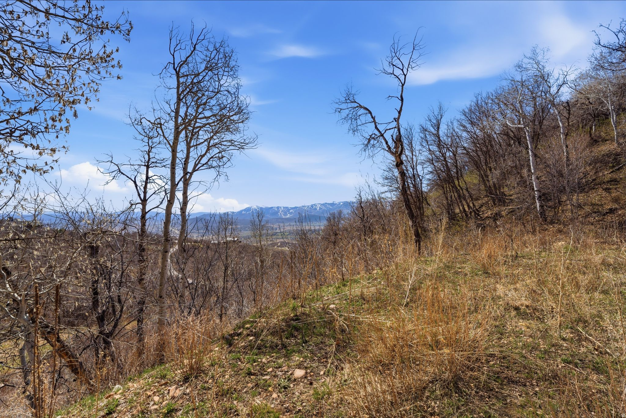 STAGECOACH ESTATES - Land