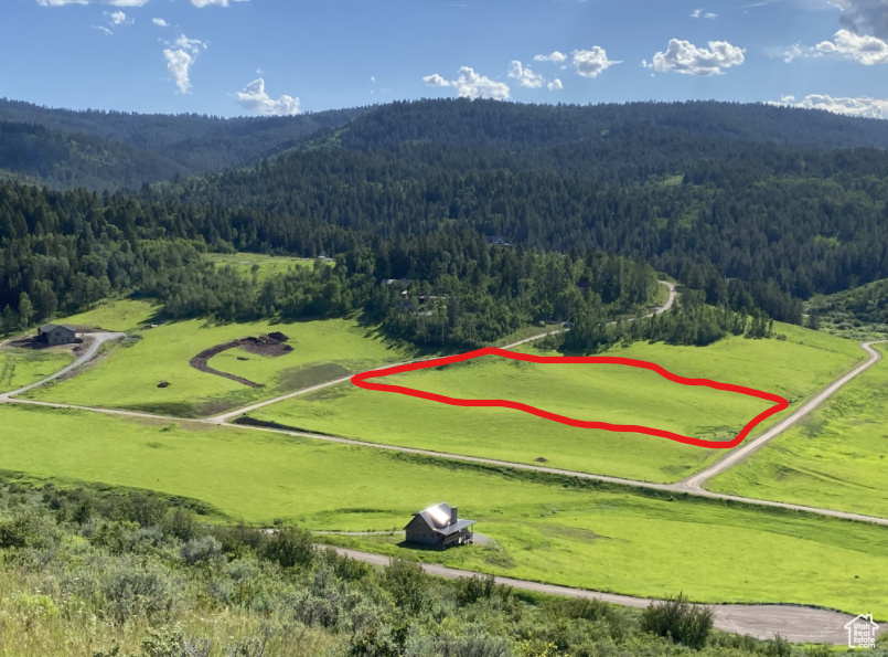 Grouse Creek Ranch in Freedom Idaho offers some of the best values in Star Valley. This elevated acreage offers great views and access into the Caribou National Forest. Private gated community that is safe and secure. Fiber and electric stubbed to the property. Located a just minutes from all that Star Valley has to offer. Adjoining lot is available for purchase... bring the family!