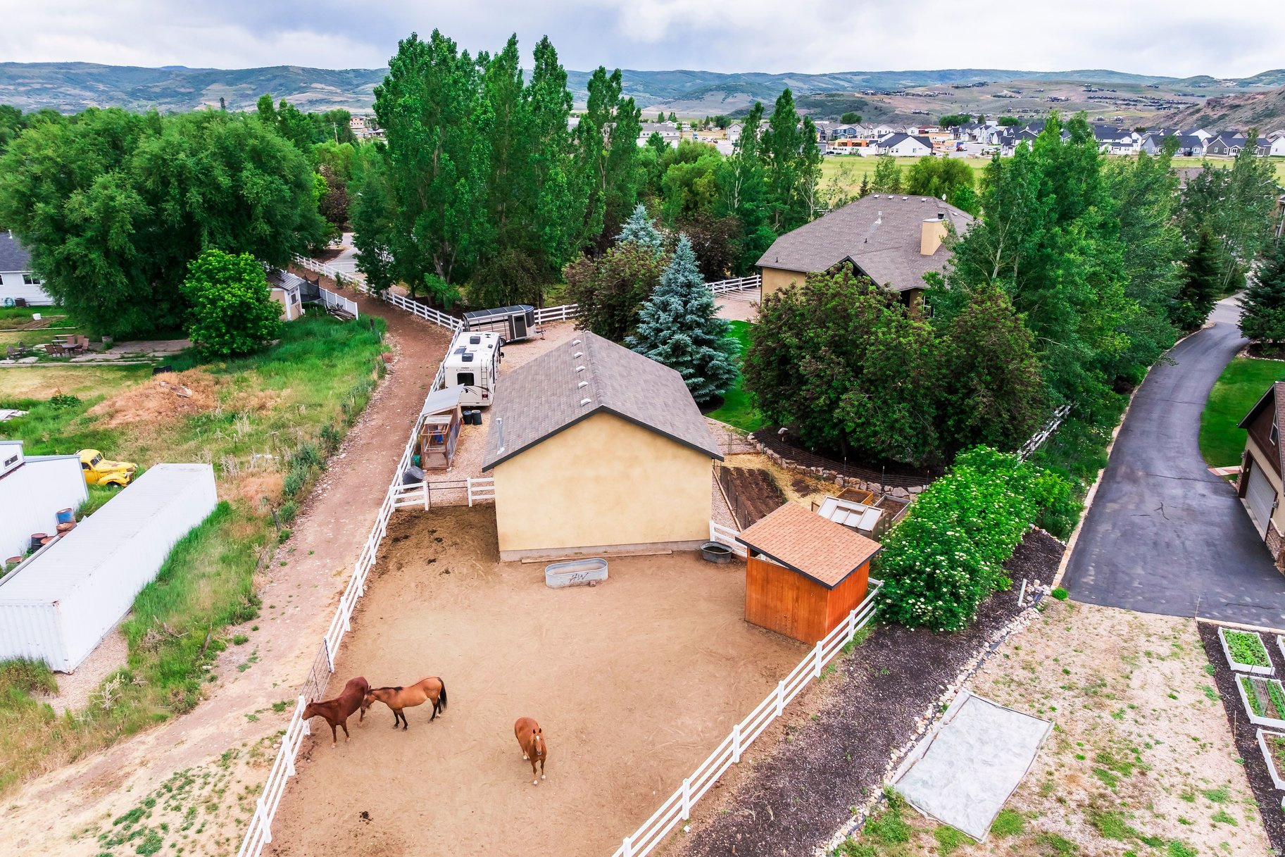 WILD WILLOW - Residential