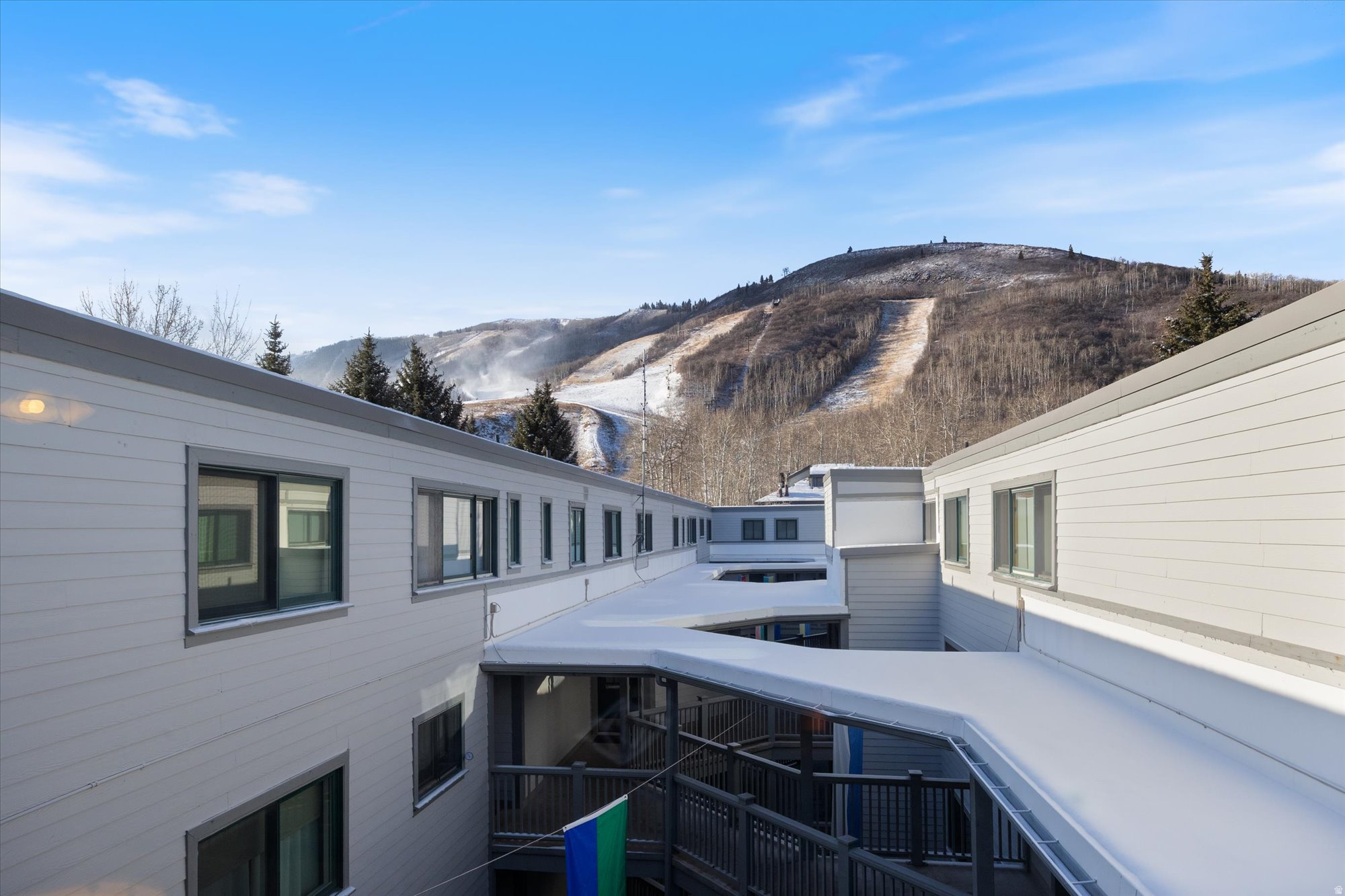 SNOW FLOWER - Residential