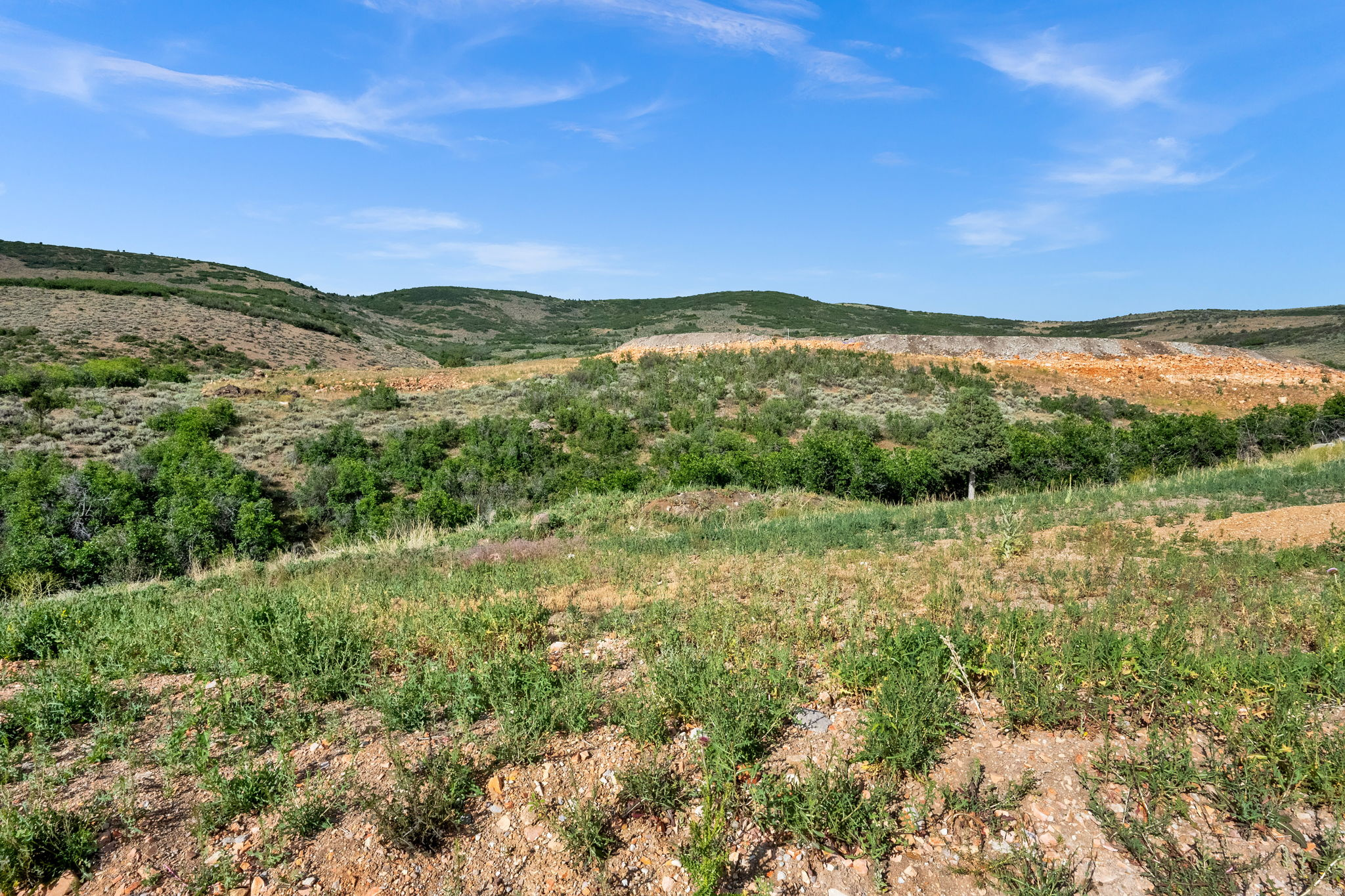 FOOTHILLS AT FRANCIS - Land