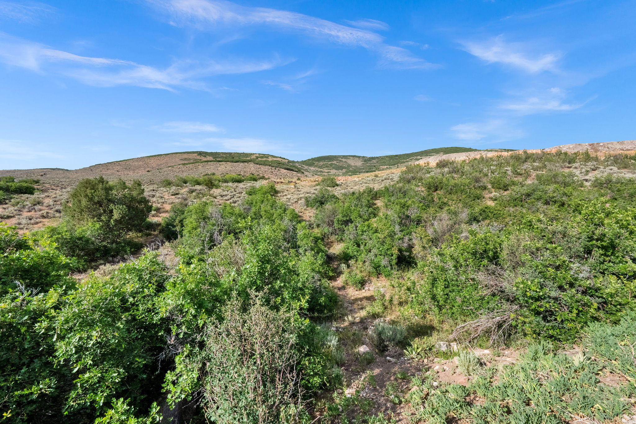 FOOTHILLS AT FRANCIS - Land