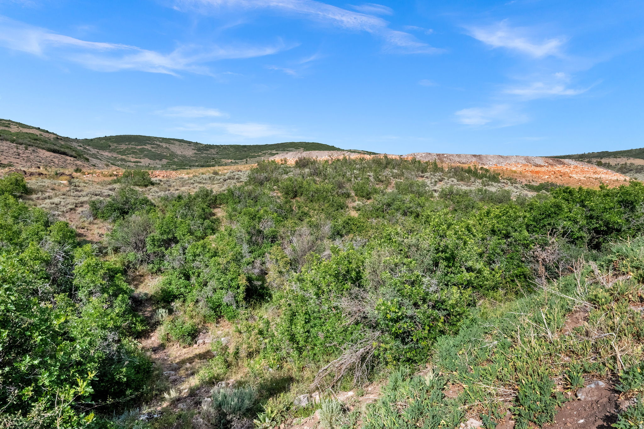 FOOTHILLS AT FRANCIS - Land