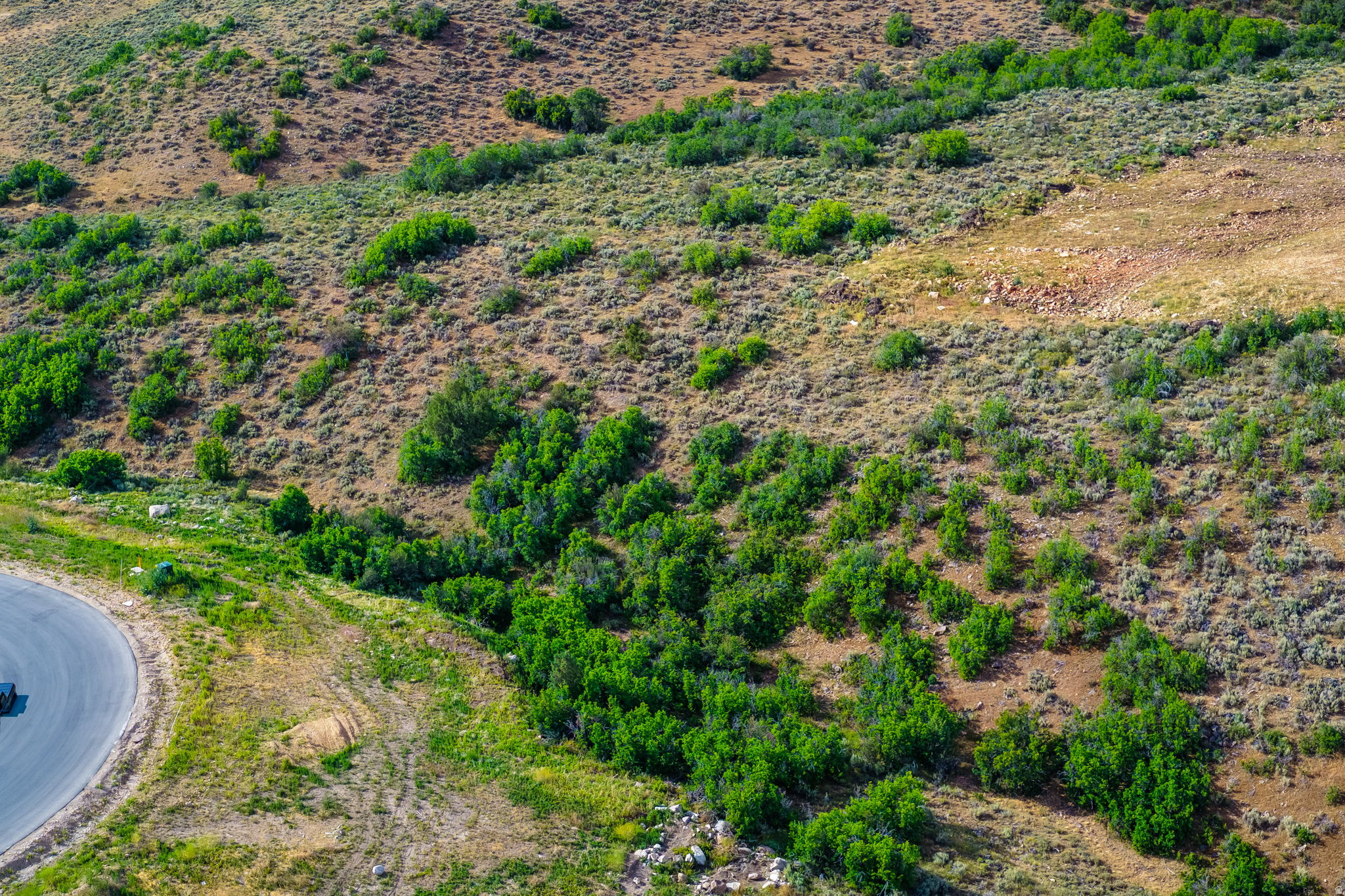 FOOTHILLS AT FRANCIS - Land