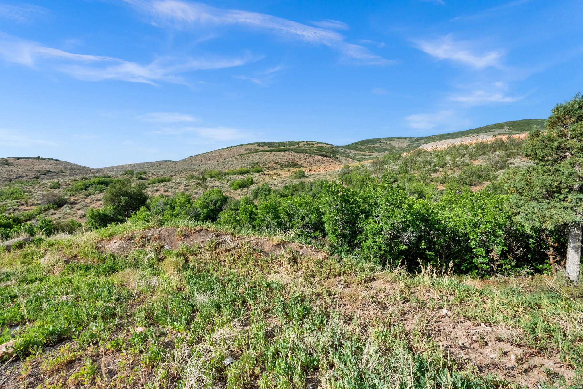 FOOTHILLS AT FRANCIS - Land