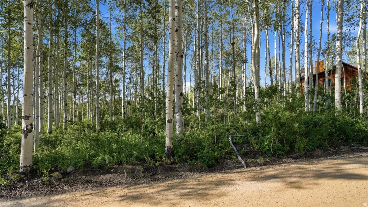 TIMBER LAKES - Residential