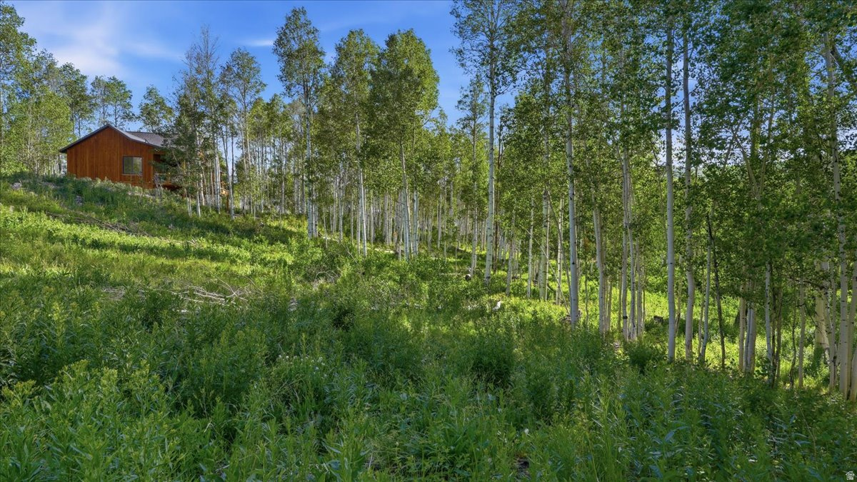 TIMBER LAKES - Residential