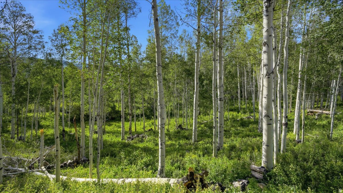 TIMBER LAKES - Residential