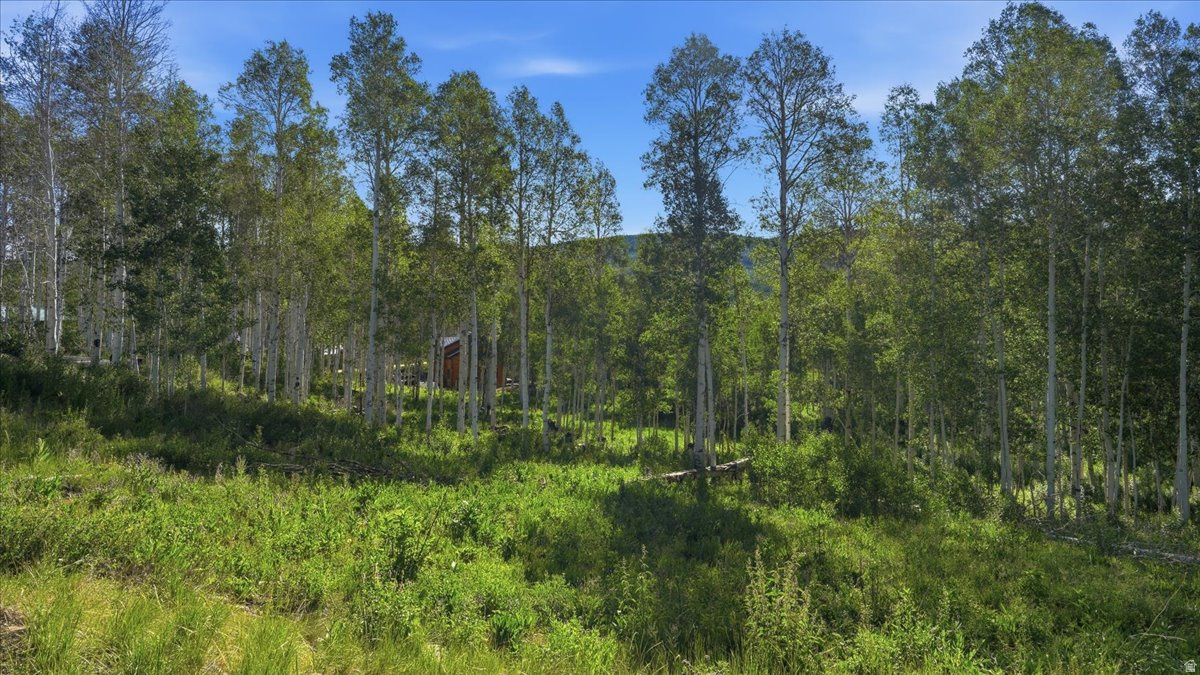 TIMBER LAKES - Residential