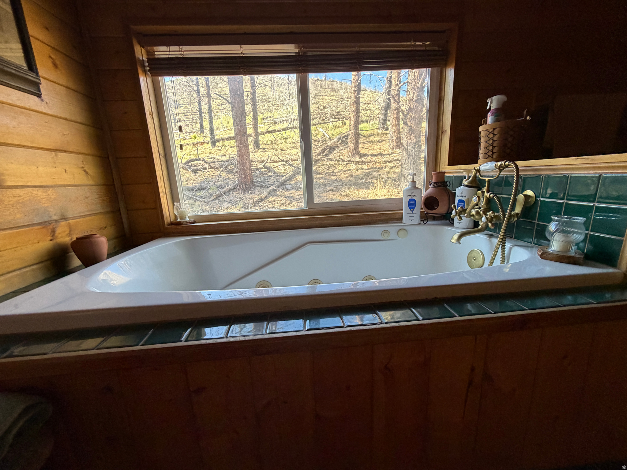 PANGUITCH LAKE ESTATE - Residential
