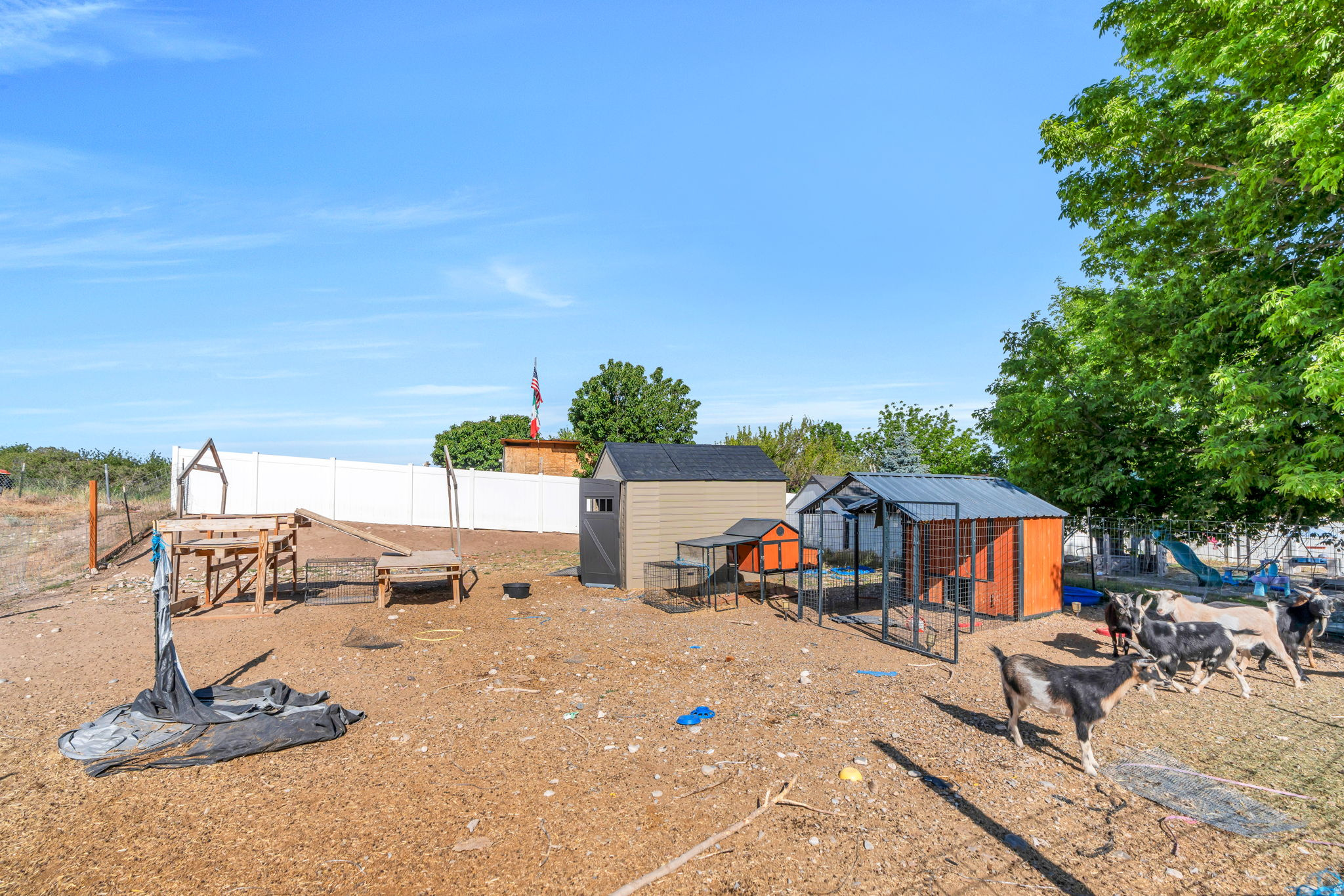 CARRIAGE TOWNE MEADO - Residential