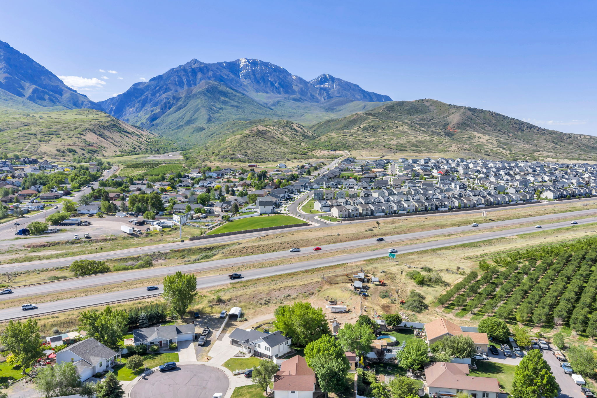 CARRIAGE TOWNE MEADO - Residential