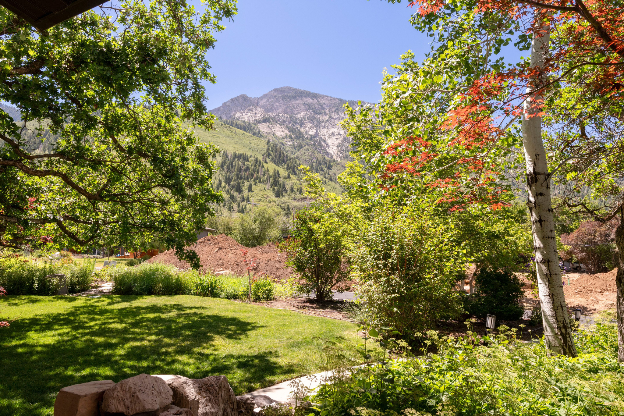 MOUNT OLYMPUS COVE - Residential