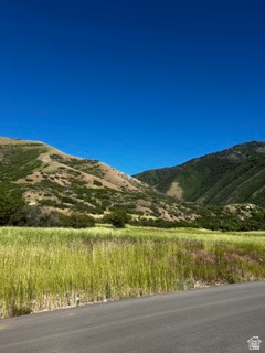 Must see location! Beautiful views of Mapleton Mountain and the hills which are often covered with deer and is a favorite location for a large elk herd on the mountain behind the lot. This lot is apart of the Maple Hills Estate subdivision, which is right outside of Mapleton Canyon. Mapleton City just installed a trail behind the subdivision as well. Stubbed and ready to build. Bring your own builder. Agent Owner. Buyer to verify all information