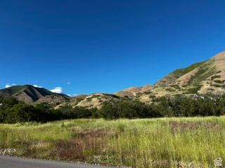 MAPLE HILLS ESTATE - Land