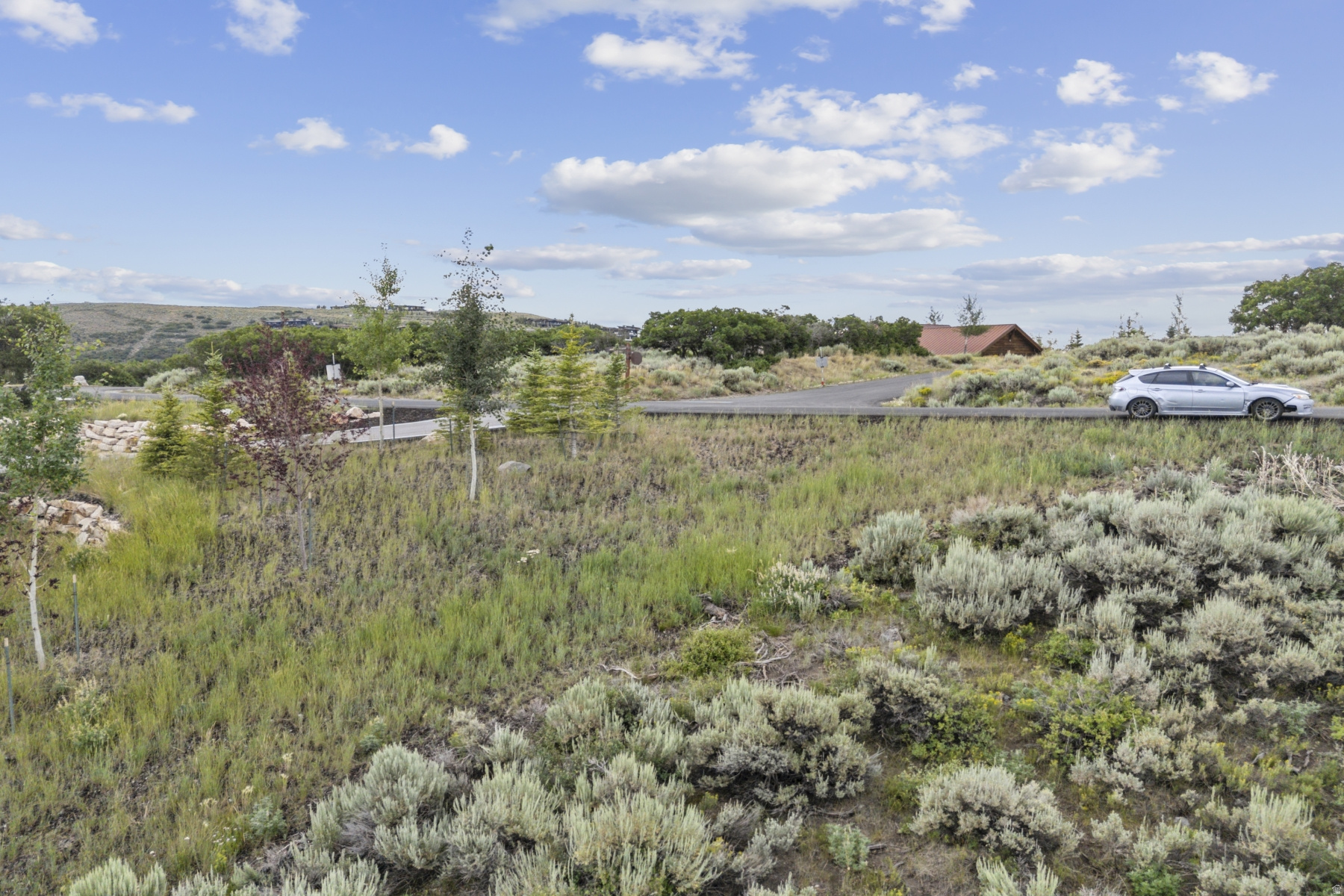 BUFFALO JUMP - Land