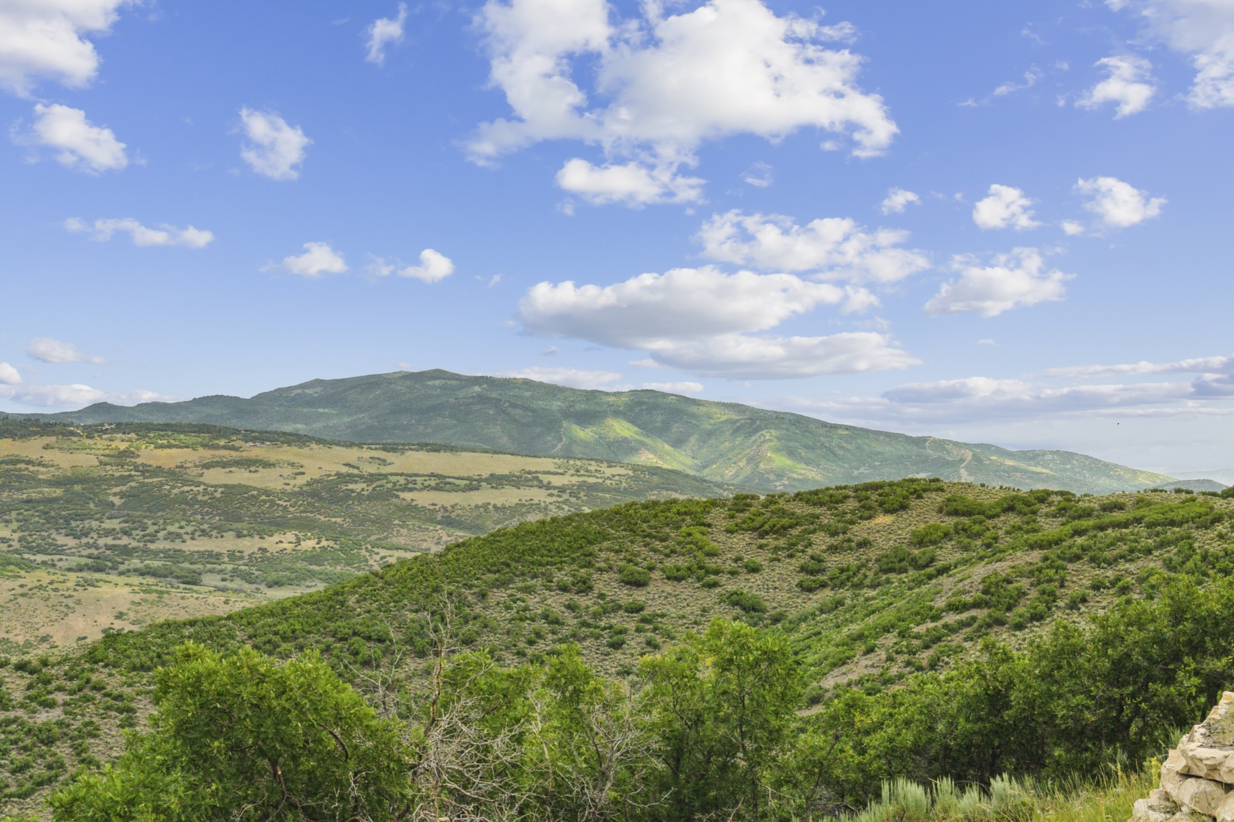BUFFALO JUMP - Land