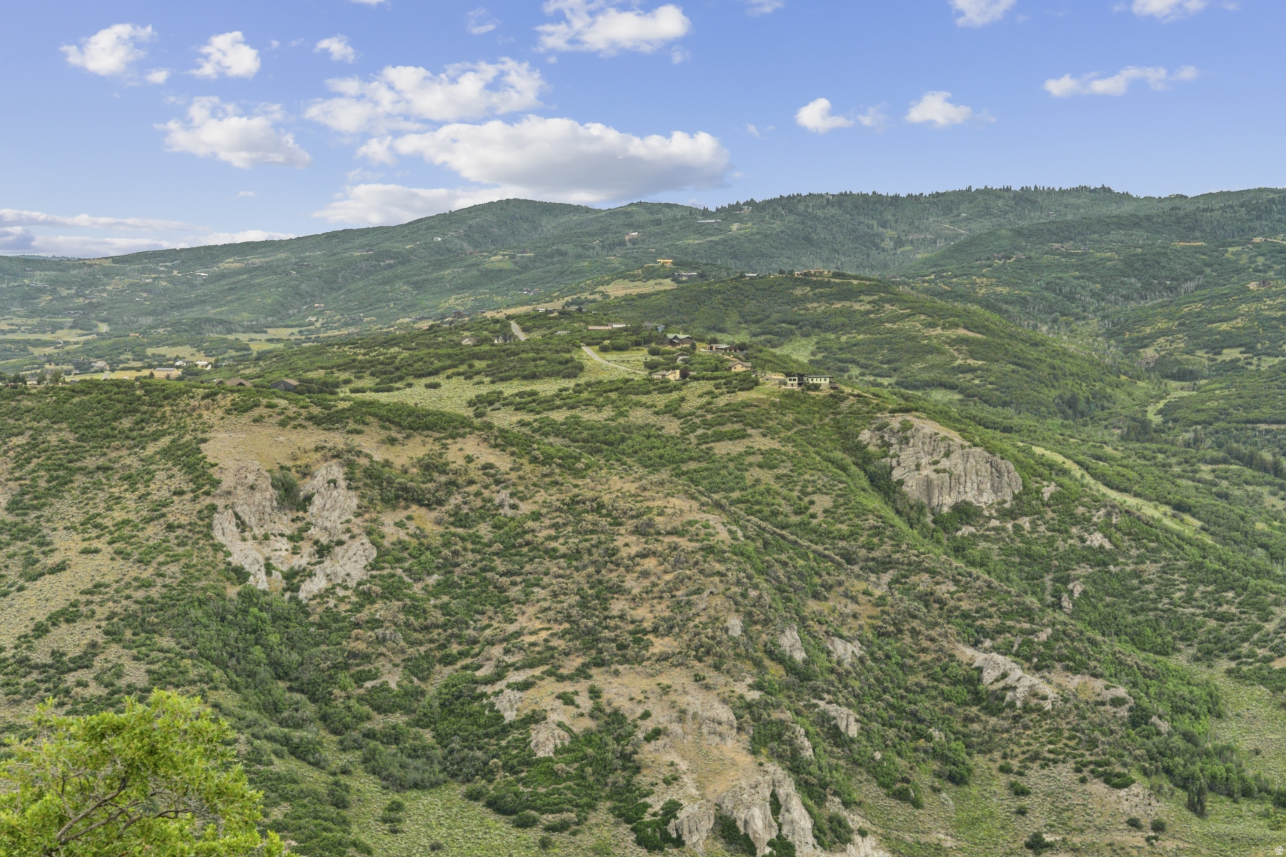 BUFFALO JUMP - Land