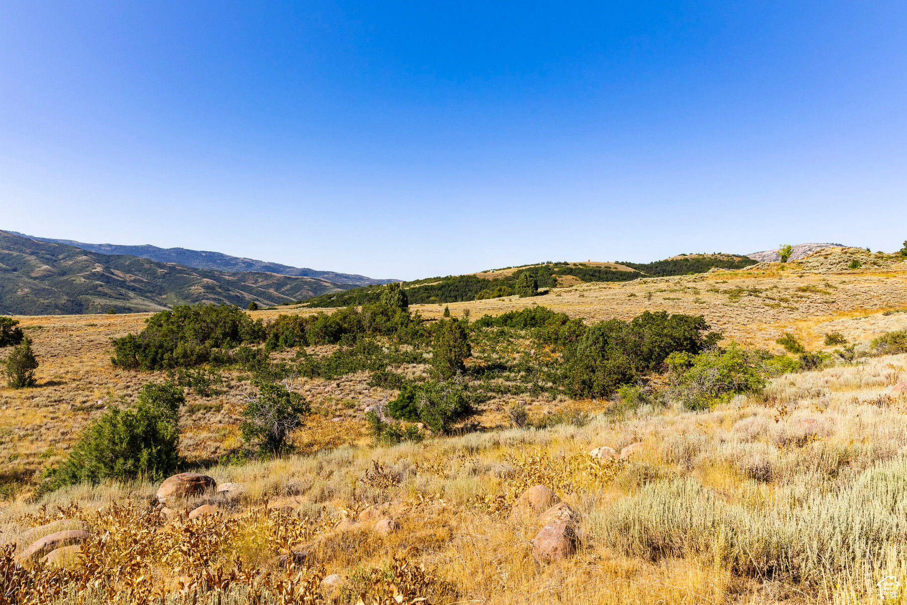 EVERGREEN PARK - Land