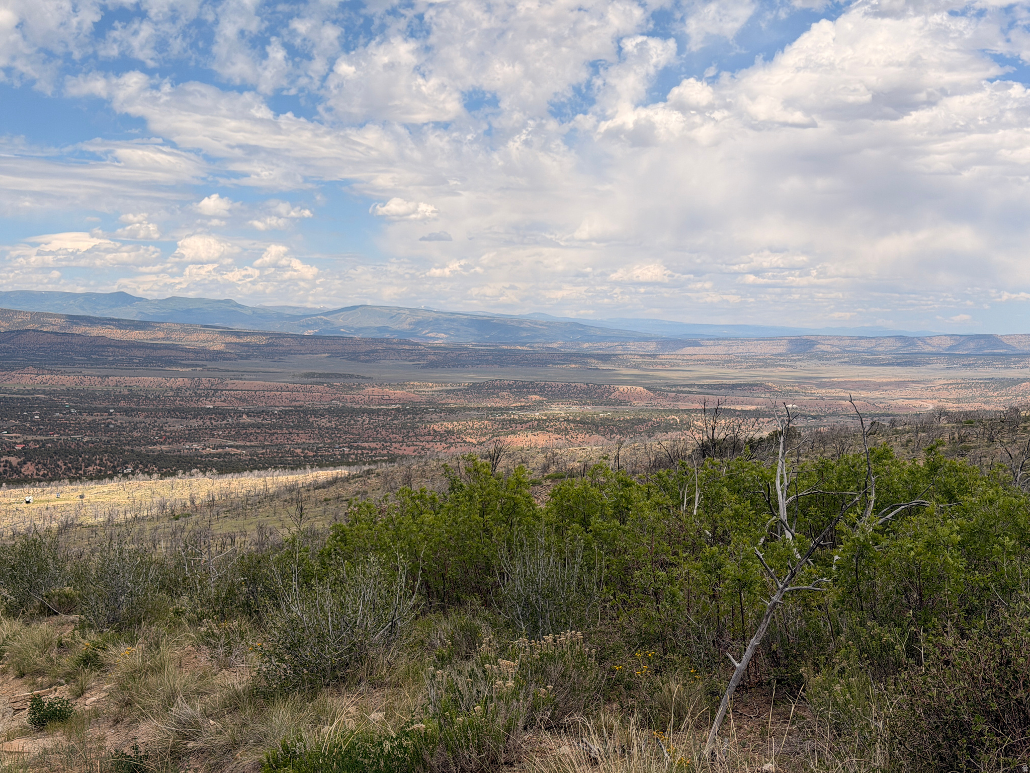 MOUNTAIN VIEW ESTATES - Land