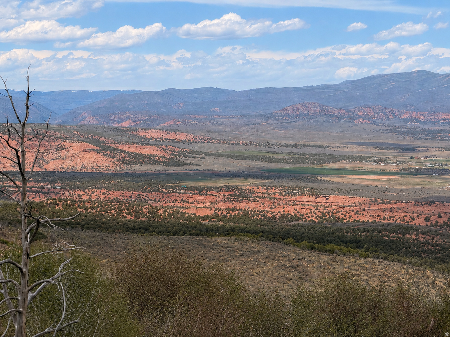 MOUNTAIN VIEW ESTATES - Land