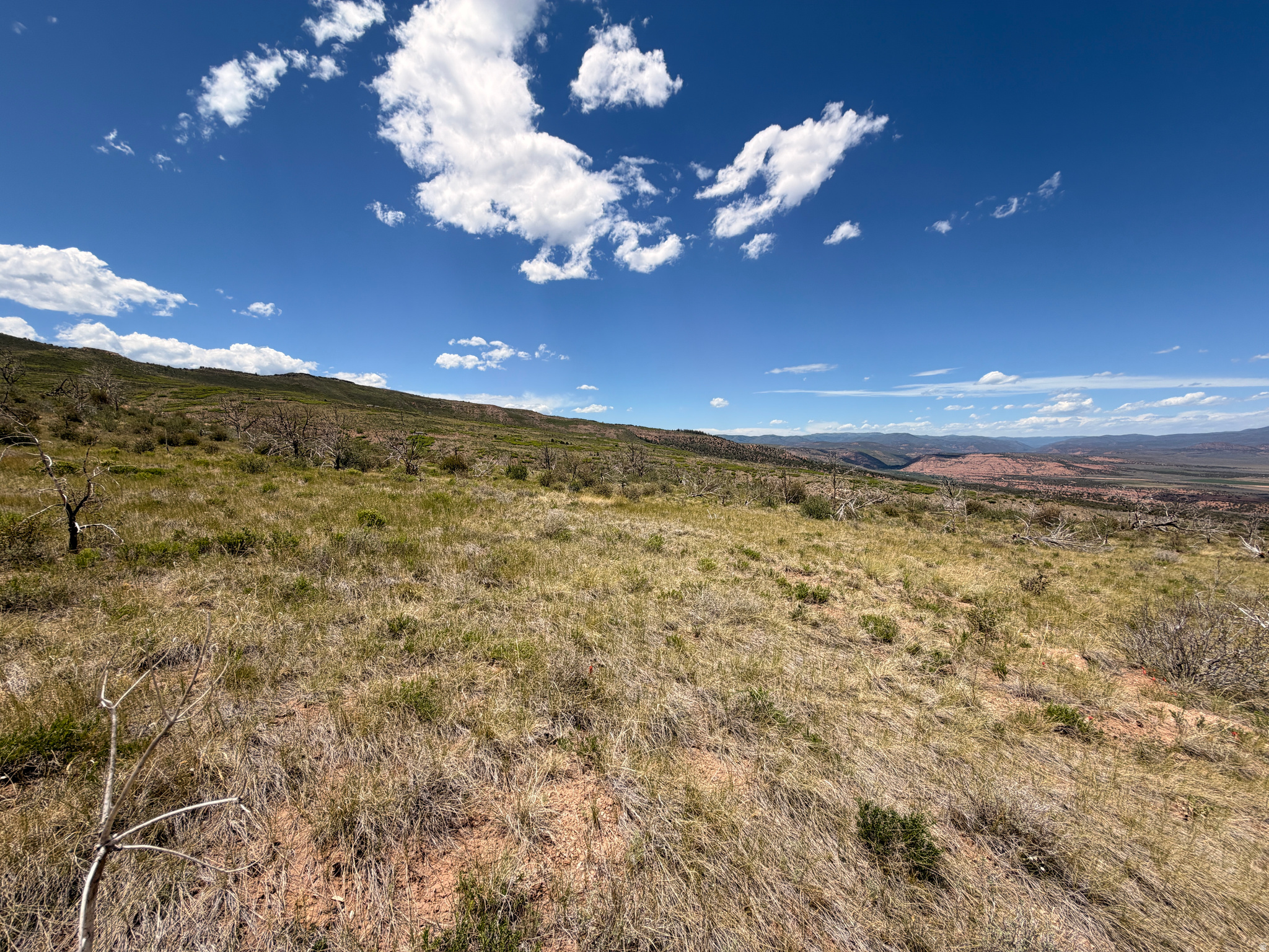 MOUNTAIN VIEW ESTATES - Land