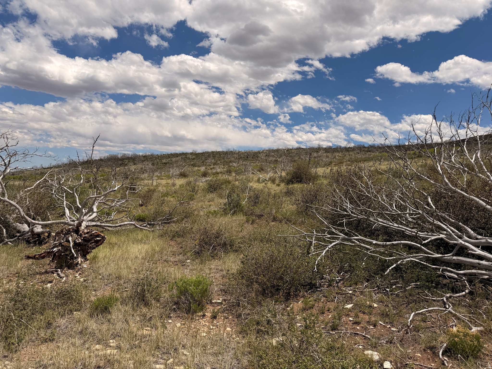MOUNTAIN VIEW ESTATES - Land