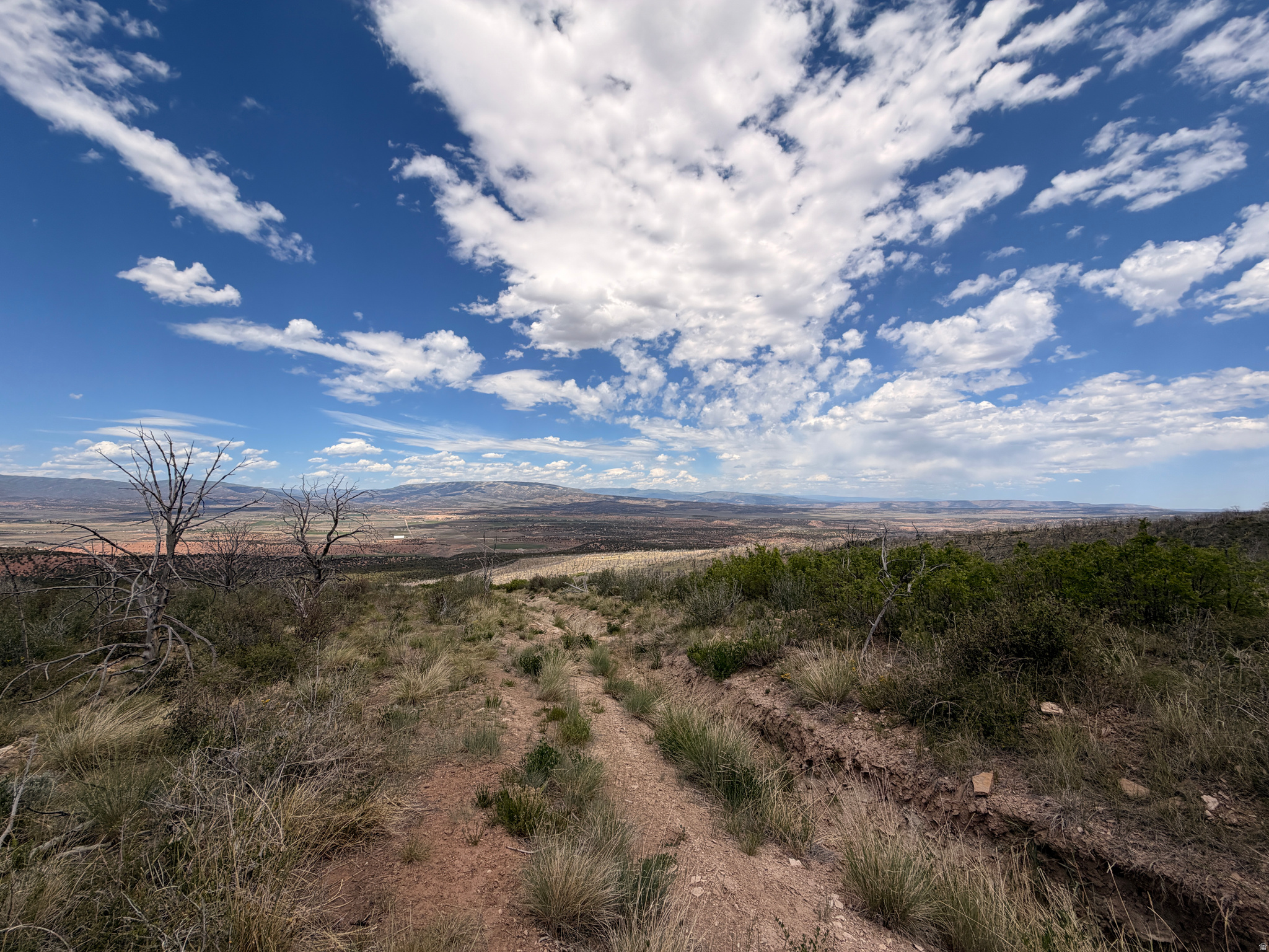 MOUNTAIN VIEW ESTATES - Land