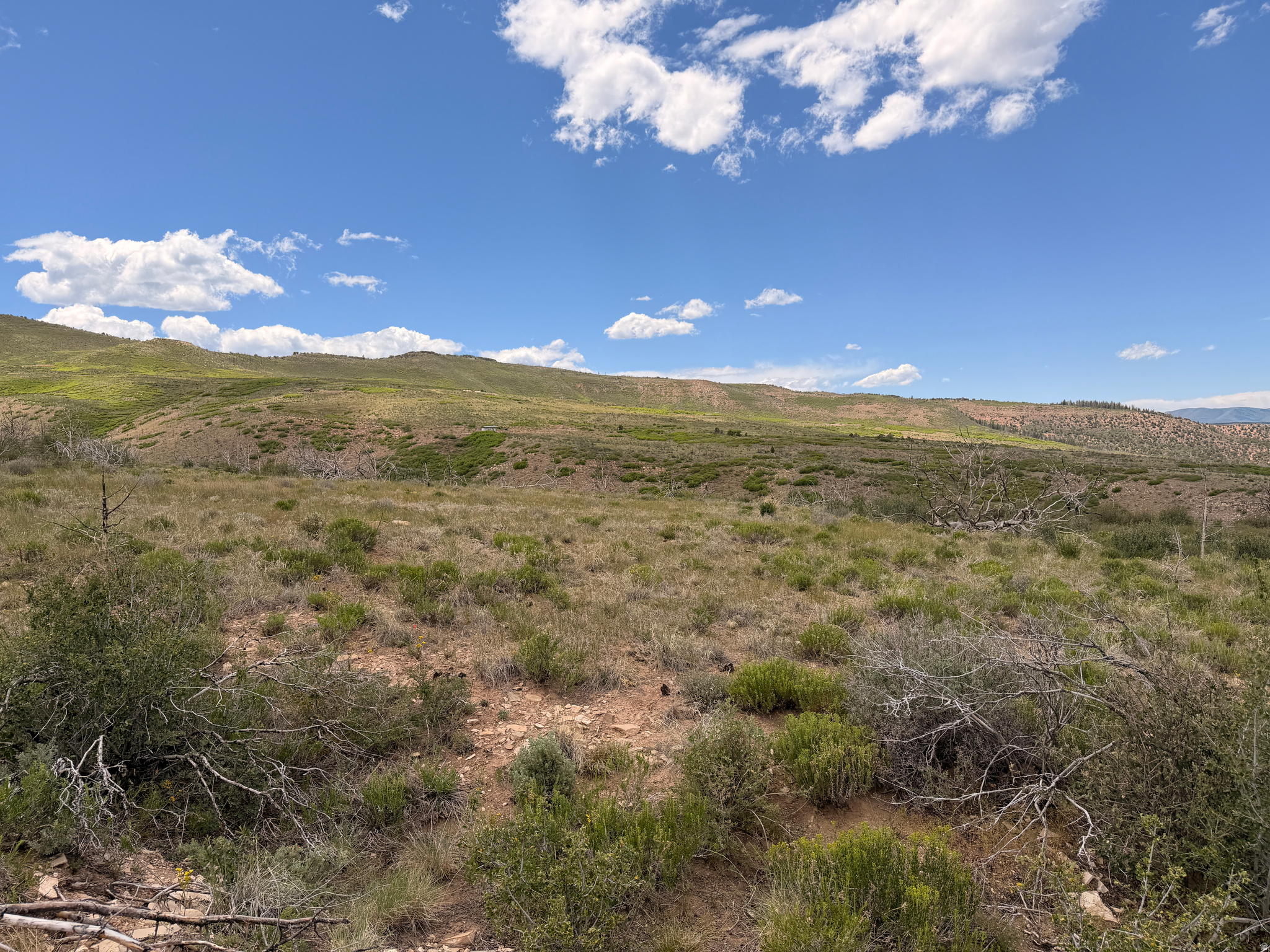 MOUNTAIN VIEW ESTATES - Land