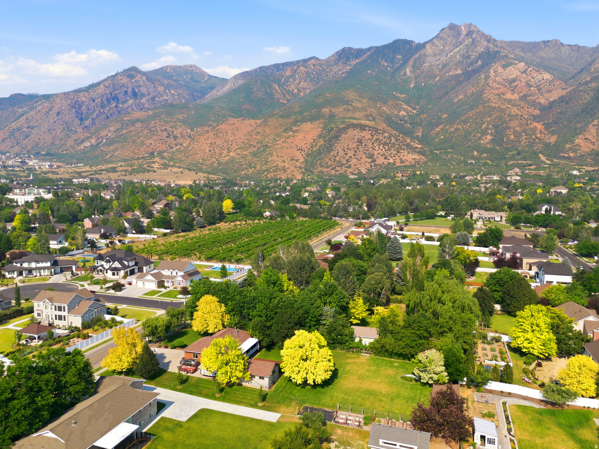 ARIPINE - Residential