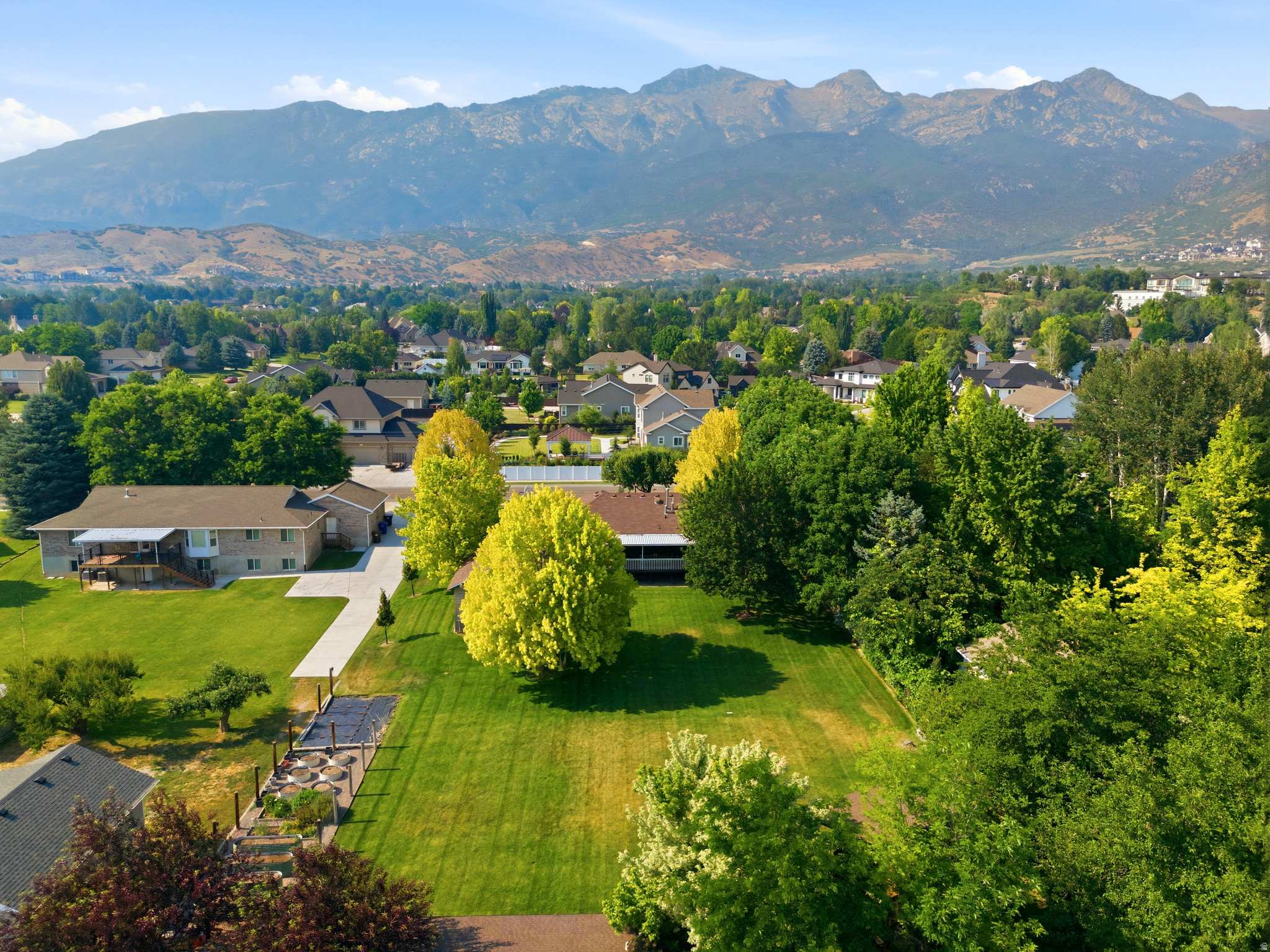 ARIPINE - Residential