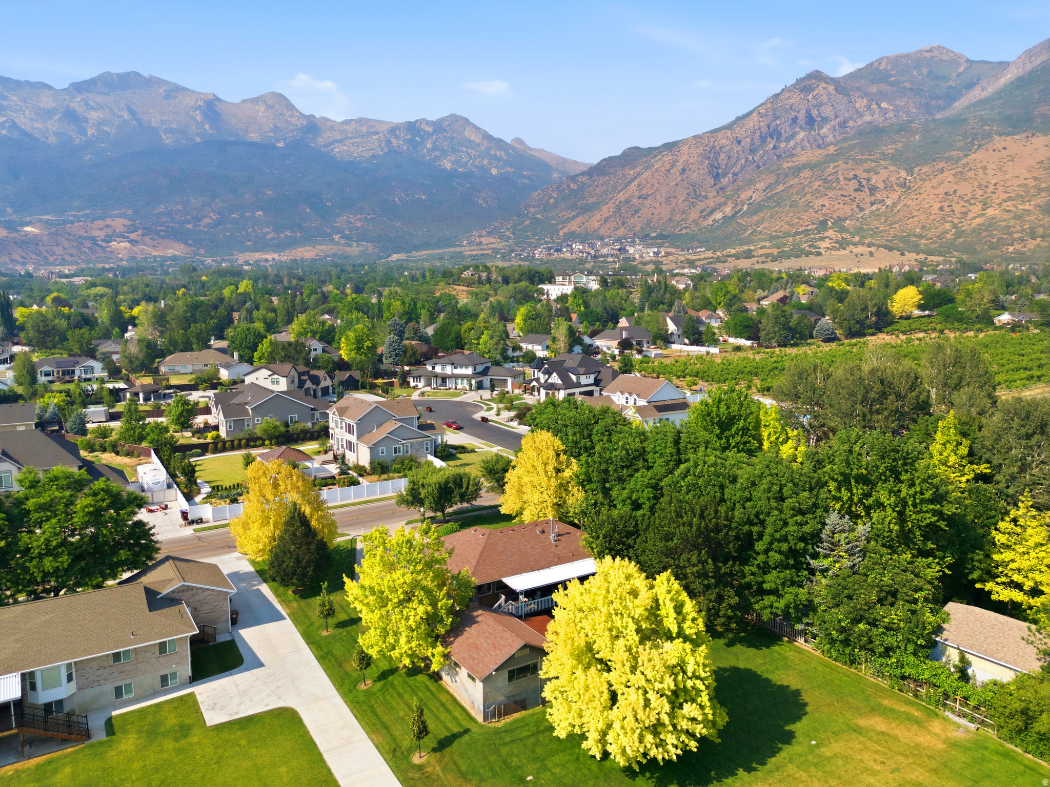 ARIPINE - Residential