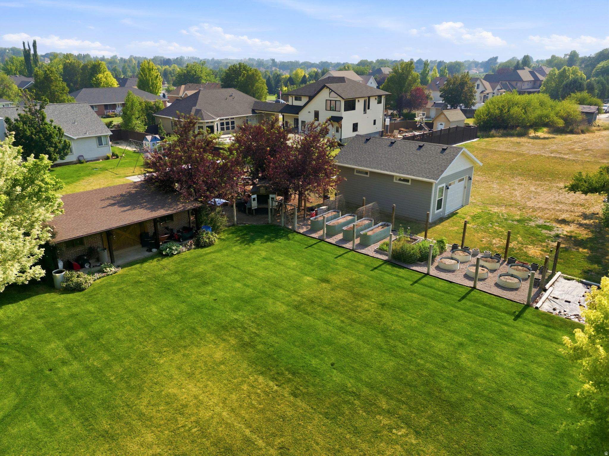 ARIPINE - Residential