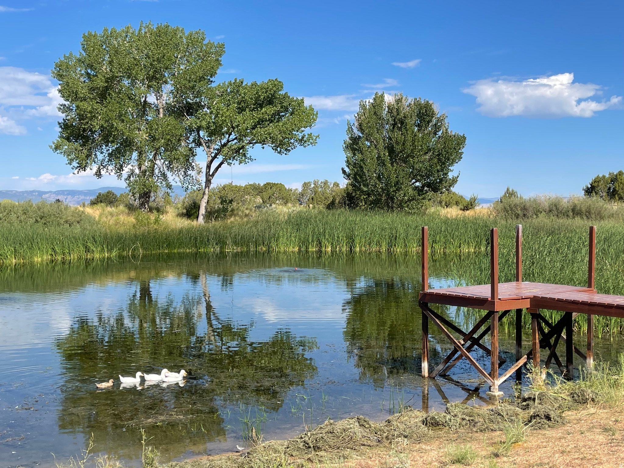 HORSESHOE MT RANCH - Land
